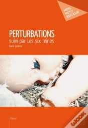 Capa do artigo Perturbations