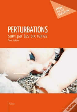 Capa do artigo Perturbations