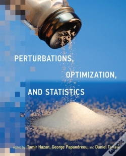 Capa do artigo Perturbations, Optimization, And Statistics
