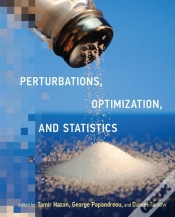 Capa do artigo Perturbations, Optimization, And Statistics