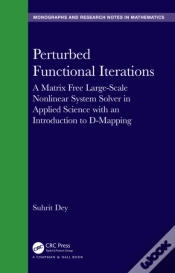 Capa do artigo Perturbed Functional Iterations