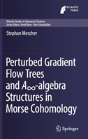 Perturbed Gradient Flow Trees And A8-Algebra Structures In Morse Cohomology - Preview