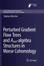Perturbed Gradient Flow Trees And A8-Algebra Structures In Morse Cohomology - Preview