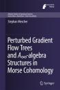 Perturbed Gradient Flow Trees And Ainfinity-Algebra Structures In Morse Cohomology - Preview