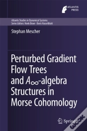 Capa do artigo Perturbed Gradient Flow Trees And Ainfinity-Algebra Structures In Morse Cohomology