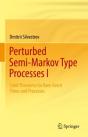 Perturbed Semi-Markov Type Processes I - Preview