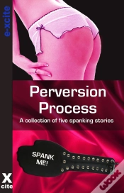 Capa do artigo Perversion Process