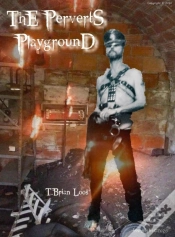 Capa do artigo Perverts Playground