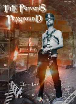 Capa do artigo Perverts Playground