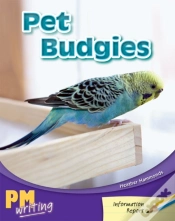 Capa do artigo Pet Budgies