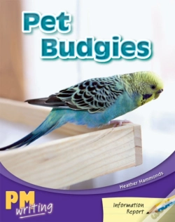 Capa do artigo Pet Budgies