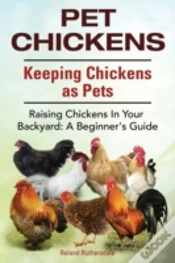 Capa do artigo Pet Chickens. Keeping Chickens As Pets.