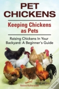 Capa do artigo Pet Chickens. Keeping Chickens As Pets.