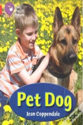 Pet Dog