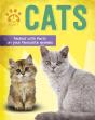 Pet Expert: Cats - Preview