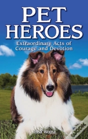 Capa do artigo Pet Heroes