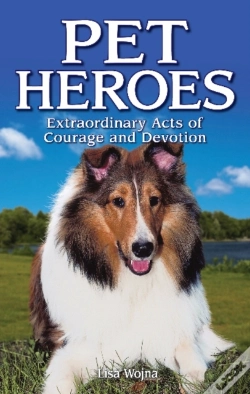 Capa do artigo Pet Heroes