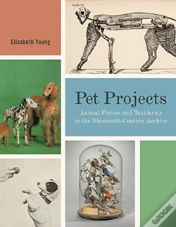 Capa do artigo Pet Projects