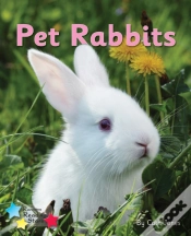 Capa do artigo Pet Rabbits