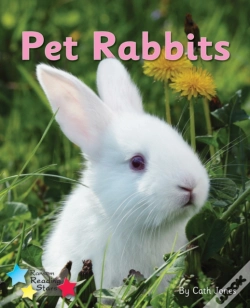 Capa do artigo Pet Rabbits