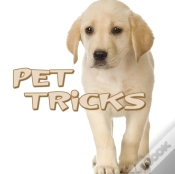 Capa do artigo Pet Tricks