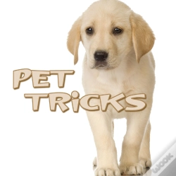 Capa do artigo Pet Tricks
