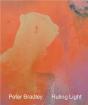 Peter Bradley: Ruling Light /Anglais - Preview