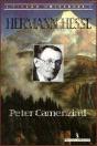 Peter Camenzind - Preview