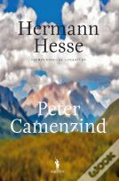 Peter Camenzind