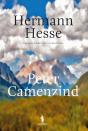 Peter Camenzind - Preview
