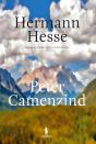 Peter Camenzind - Preview