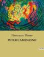 Peter Camenzind - Preview