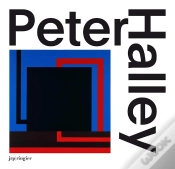 Capa do artigo Peter Halley