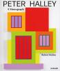 Peter Halley - Preview