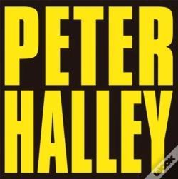 Capa do artigo Peter Halley: Since 2000