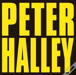 Peter Halley: Since 2000