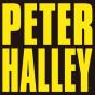 Peter Halley: Since 2000 - Preview