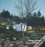 Capa do artigo Peter Hubner