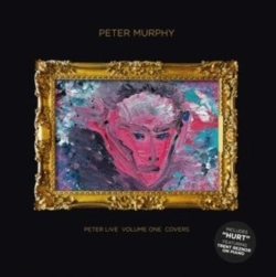 Capa do artigo Peter Live, Volume One - CD