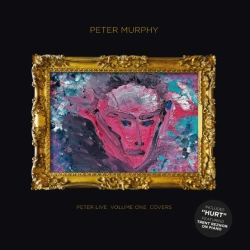Capa do artigo Peter Live Volume One Covers - Vinil