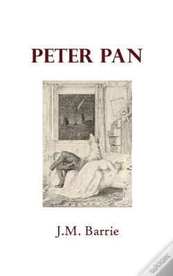 Capa do artigo Peter Pan