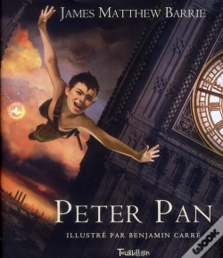 Capa do artigo Peter Pan