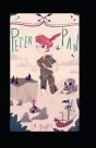 Peter Pan Illustrated - Preview