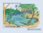Peter Platypus'S Pond - Preview