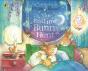 Peter Rabbit: The Bedtime Bunny Hunt - Preview