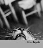 Peter Zupnik - Preview
