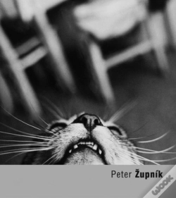 Capa do artigo Peter Zupnik