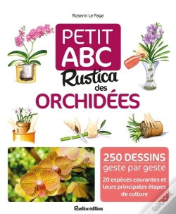 Capa do artigo Petit Abc Rustica Des Orchidées