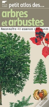 Petit Atlas Des Arbres Et Arbustes