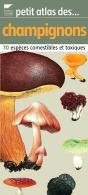 Petit Atlas Des Champignons - Preview